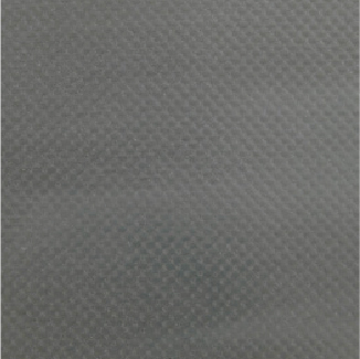S6669 